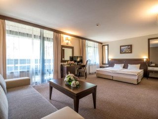 Hotel Lion Borovets