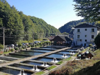 Complex Lostrita