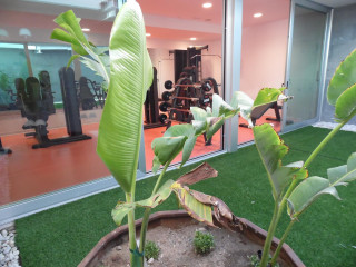 Hotel Nayra - Adults Only