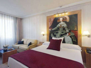 Hotel Princesa Plaza Madrid