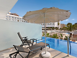 Hotel Riu Playa Park