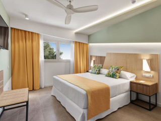 Hotel Riu Playa Park