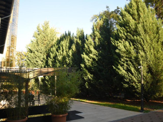 Hotel Royal Florence