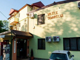 Vilele Soarelui