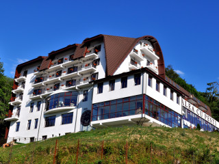 HOTEL VALEA CU PESTI