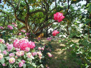 Hotel Villa Tre Sorelle