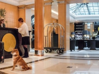 HYATT PARIS MADELEINE