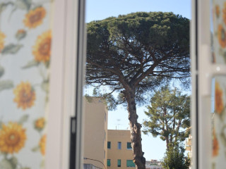 I Colori di Salvator Rosa