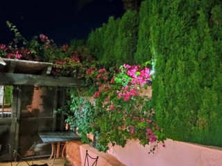 Inn & Art Madeira
