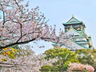 JAPONIA 2025 – SAKURA, SPECTACOLUL FLORII DE CIRES pachet 12 zile plecare din Bucuresti, zbor Lufthansa