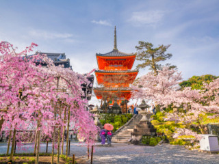 JAPONIA MAI APROAPE DE MUNTELE FUJI