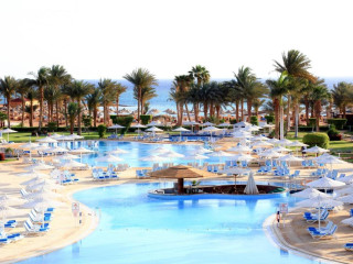 JAZ ROYAL PALMARIVA ( EX LABRANDA ROYAL )