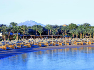 JAZ ROYAL PALMARIVA ( EX LABRANDA ROYAL )