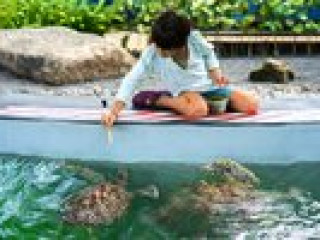 JW Marriott Phuket Resort & Spa