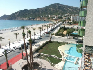 Kaktus Albir