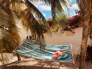 Karibu Aruba
