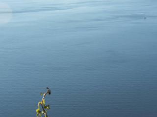 Kasimatis by La Perla