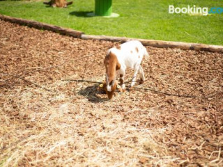 Kinderhotel Appelhof