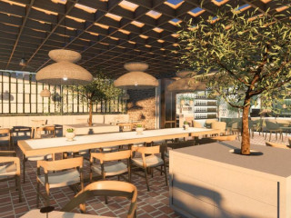 King Jason Zante – Designed for Adults