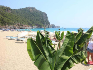 KLEOPATRA ROYAL PALM HOTEL