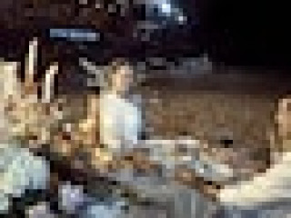 Koh Jum Ocean Beach Resort