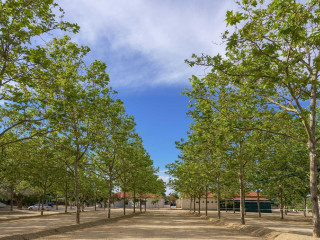 Komitsa Luxury Apartments