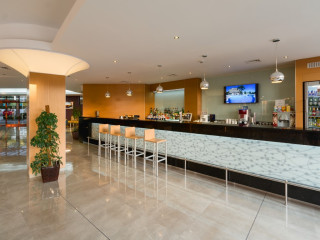 GREEN APARTMENT MIRCEA VODA