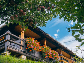 LA ROATA - CASA ZENOVIA