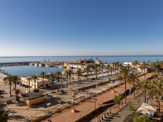 Las Palmeras Affiliated by FERGUS