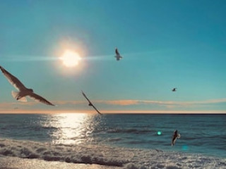 Le Riviera Collection, BW Signature Collection