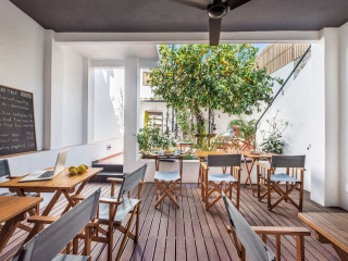 Lemon Tree Stay