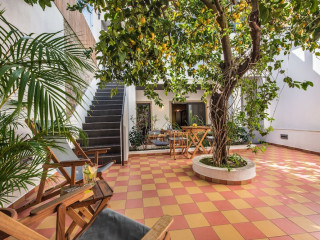 Lemon Tree Stay