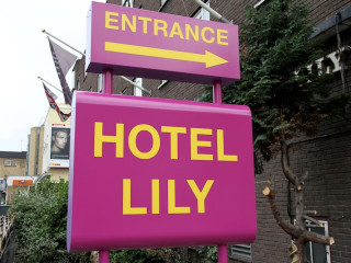 Lily Hotel