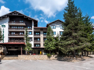 LION HOTEL BOROVETS