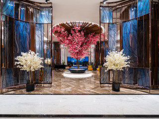 Calyptus Kirman Premium