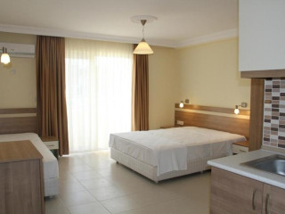 LONICERA PREMIUM