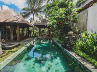 Luwak Estate