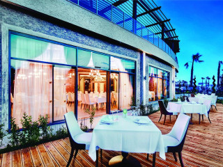 MAGIC LIFE JACARANDA