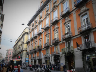 MAISON DES FLEURS