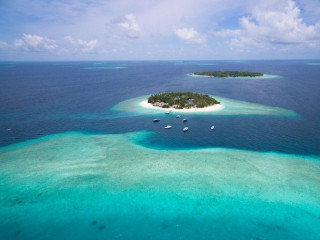 Malahini Kuda Bandos 