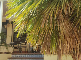 Mamboo Hotel Cala Ratjada
