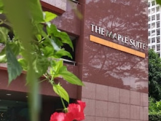 MAPLE SUITE
