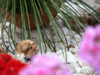 Marietta Hotel & Apartments Rhodes