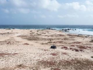 Marriott's Aruba Ocean Club