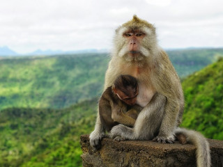 MAURITIUS - Perla Oceanului Indian PREMIUM TOURS