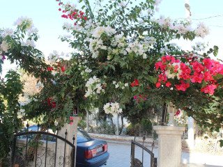 Mavi Pansiyon & Restaurant