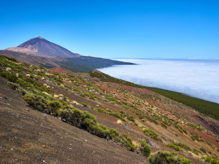 Meliá Jardines Del Teide