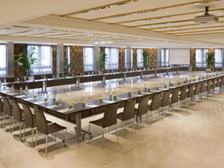 Melia Madrid Princesa