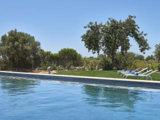 Mercedes Country House