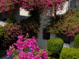 MEXICANA SHARM RESORT